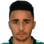 莱安德罗·安德拉德